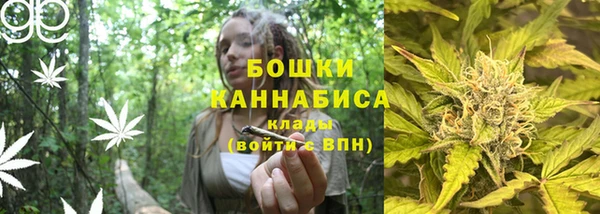 дживик Вязьма